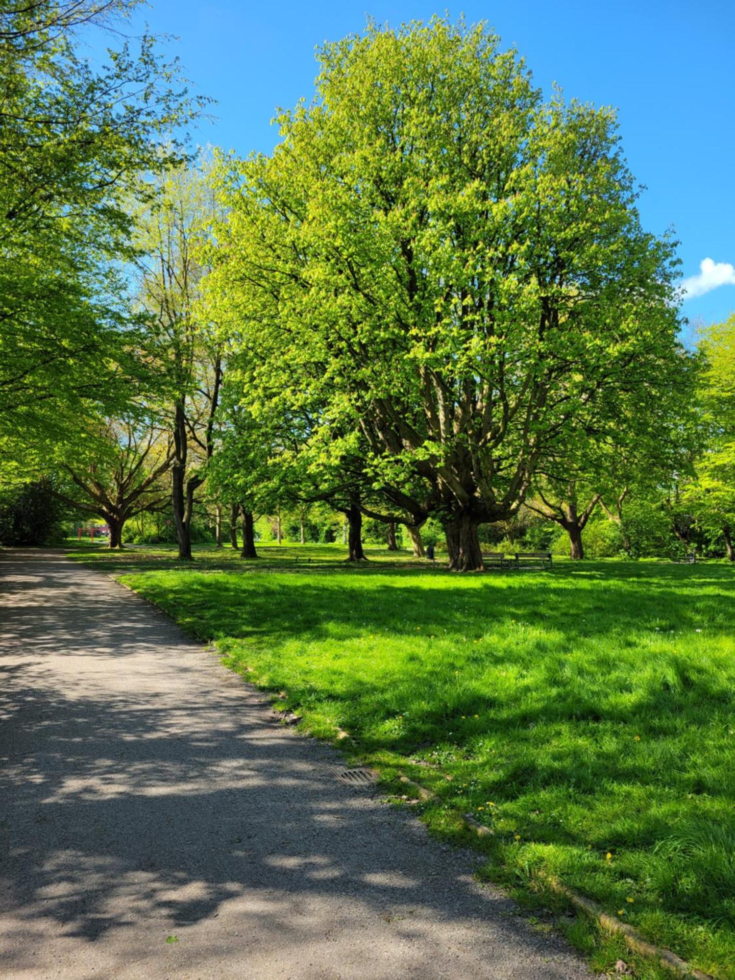 Am Park Wilhelmshaven