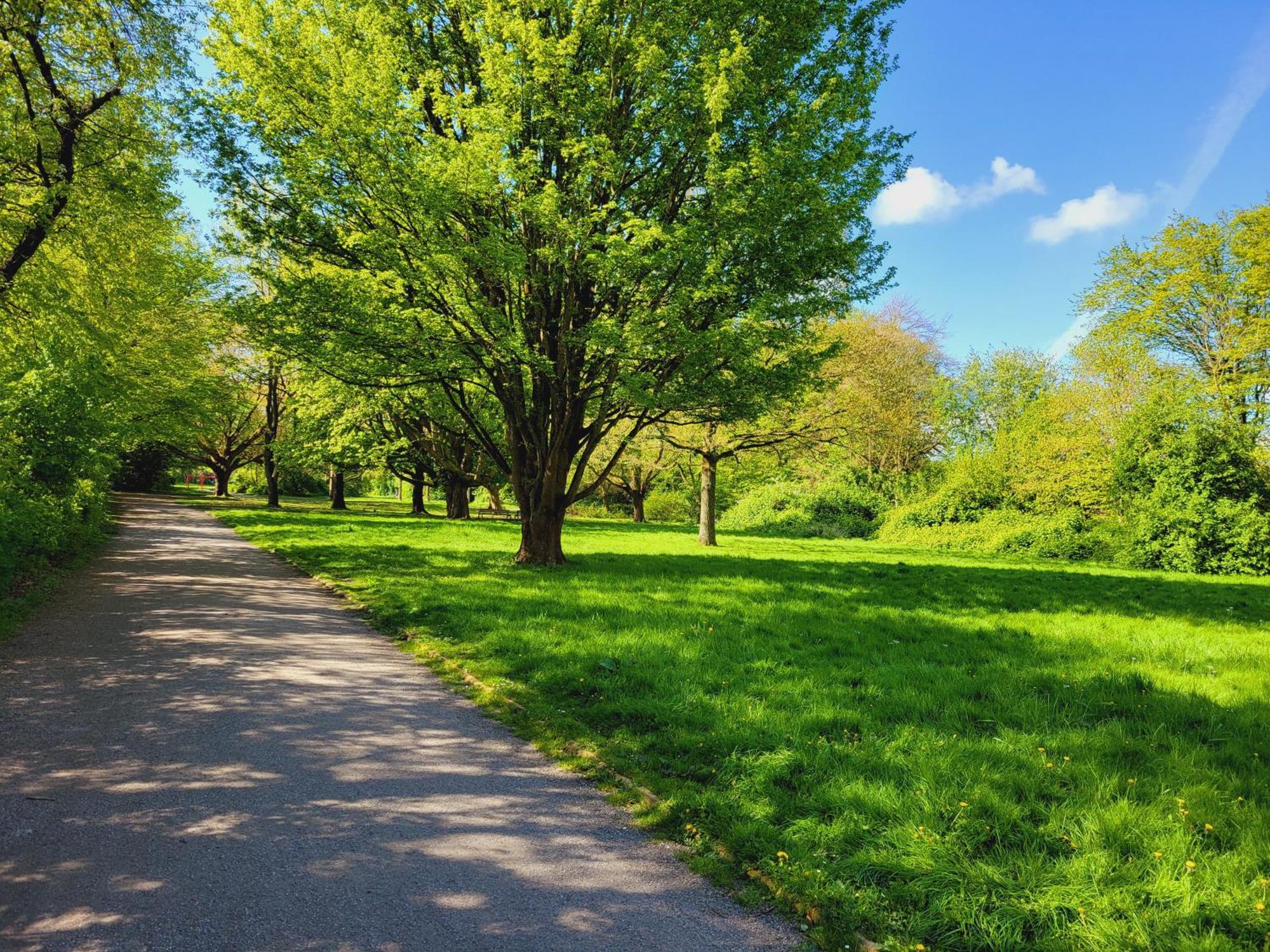 Am Park Wilhelmshaven